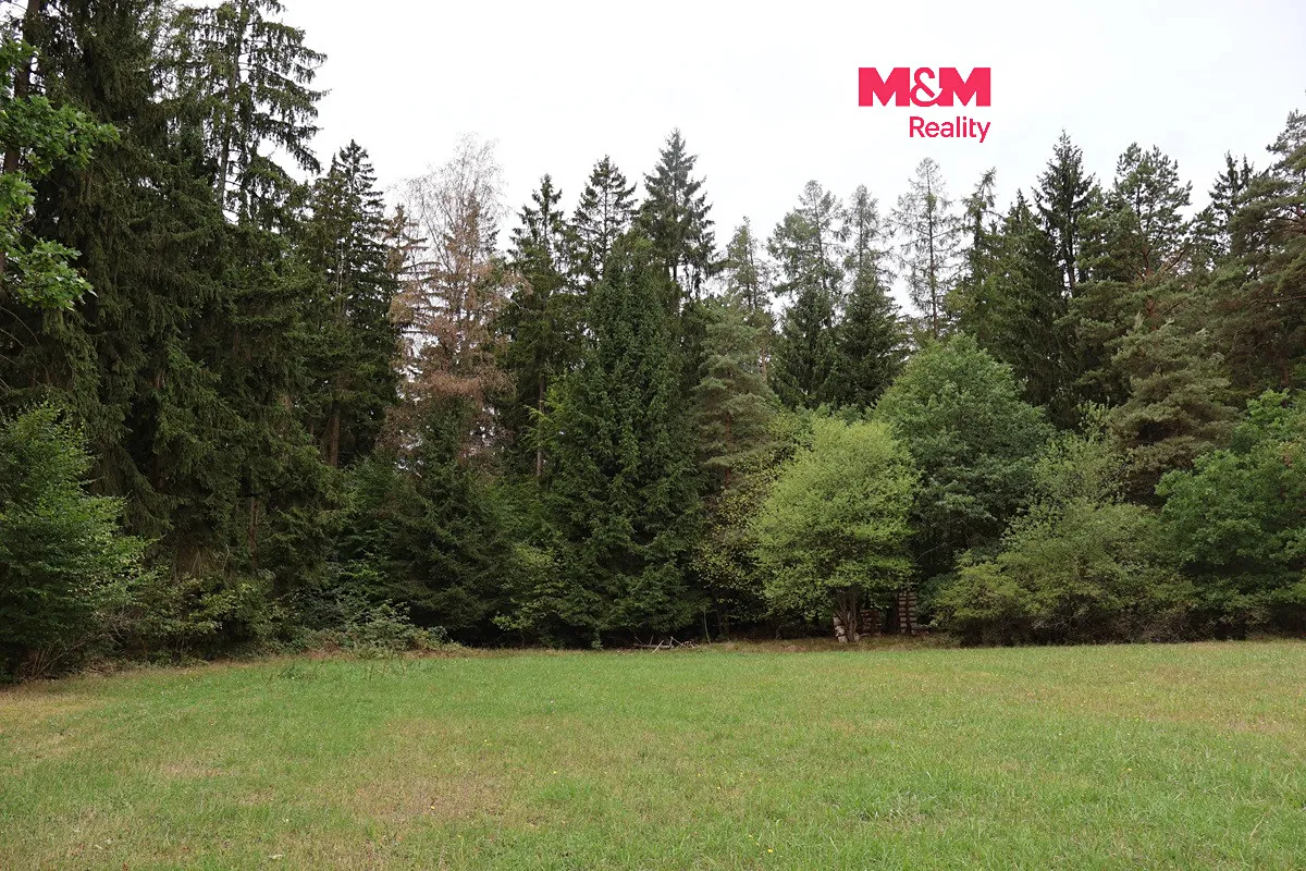 Prodej lesa 1762 m²